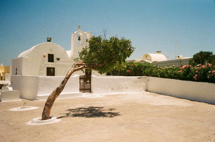 A leaning tree outside a church in Greece