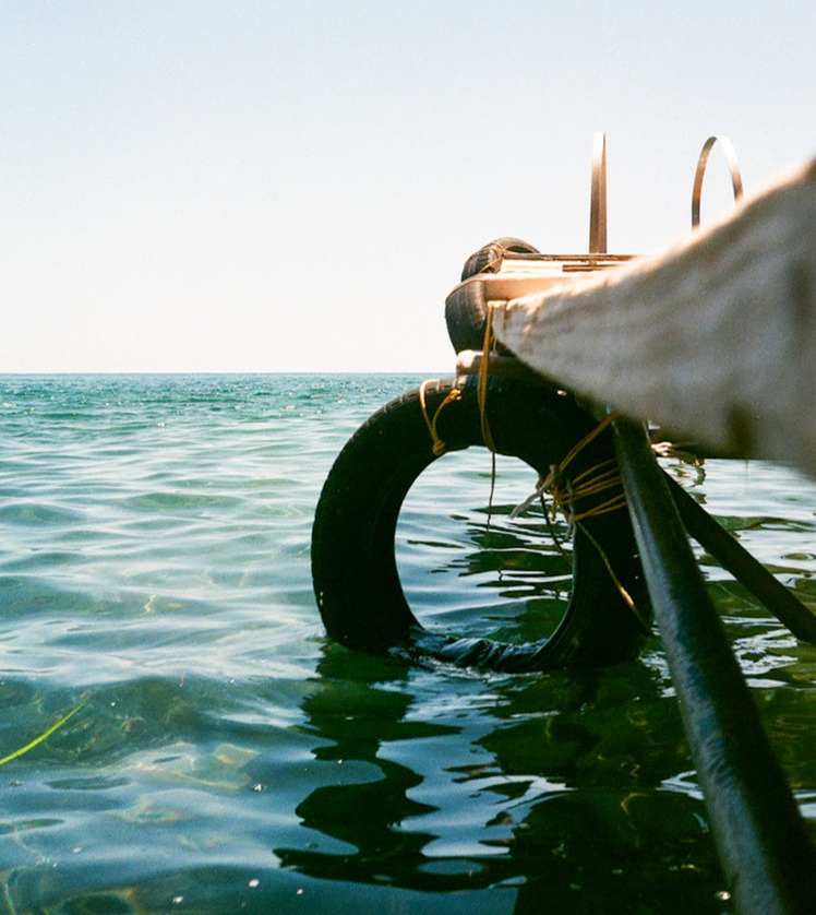 Underneath a tiny little pier.